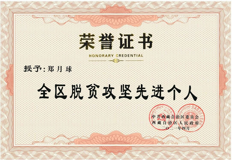 荣誉资质